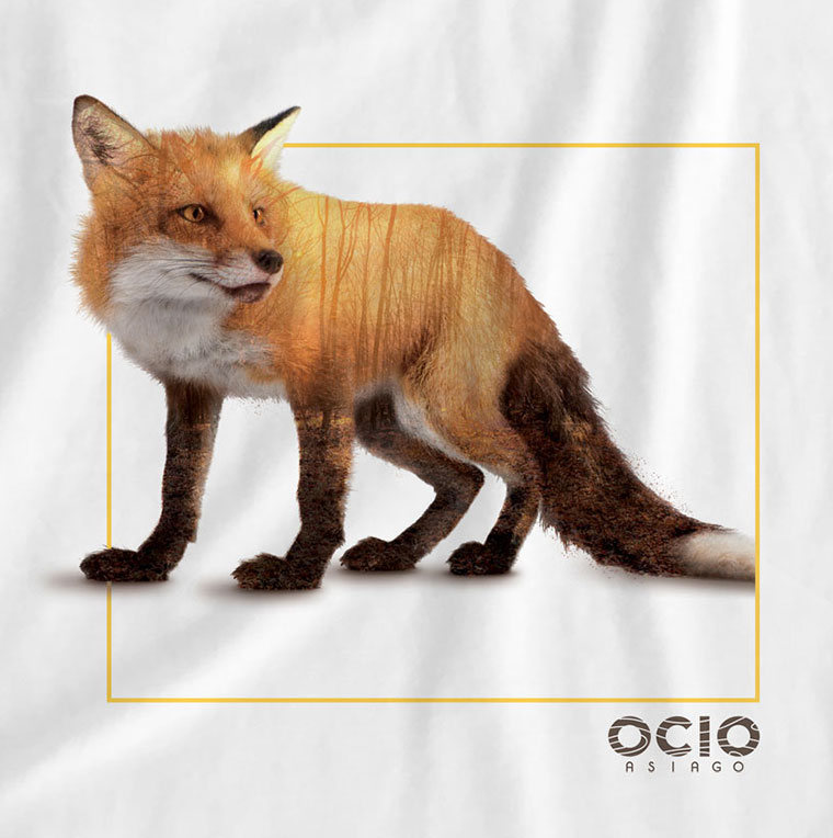 ocio_asiago_t-shirt3